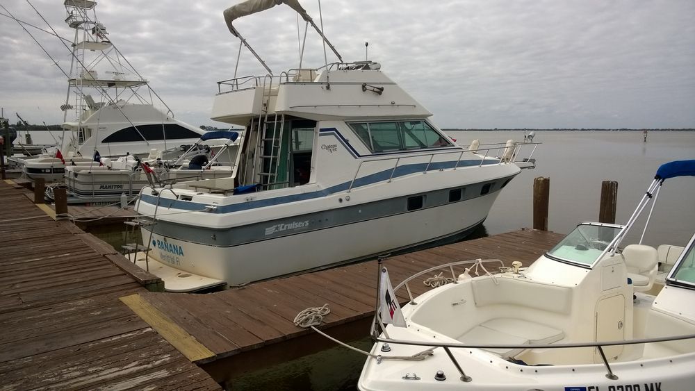 Arrival of the fleet